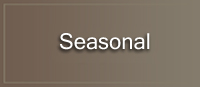 CFM seasonal_button