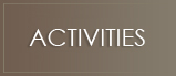 stewardship-activities-btn stewardship-activities-btn